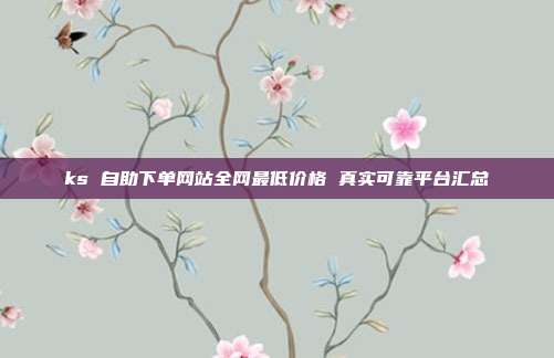 ks 自助下单网站全网最低价格 真实可靠平台汇总