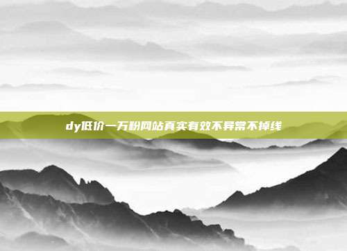 dy低价一万粉网站真实有效不异常不掉线