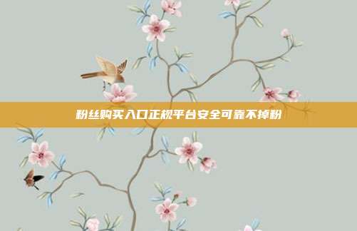 粉丝购买入口正规平台安全可靠不掉粉