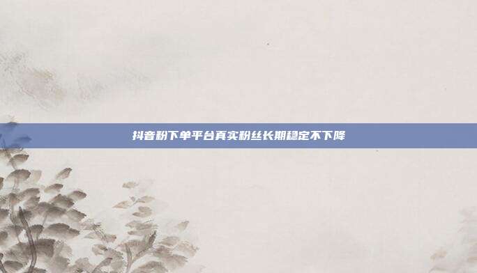 抖音粉下单平台真实粉丝长期稳定不下降