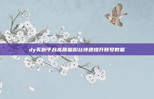 dy买粉平台高质量粉丝快速提升账号数据