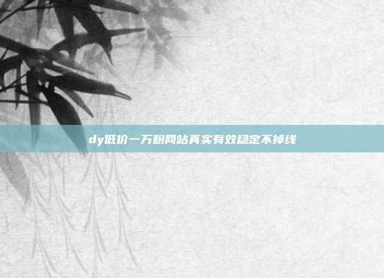 dy低价一万粉网站真实有效稳定不掉线