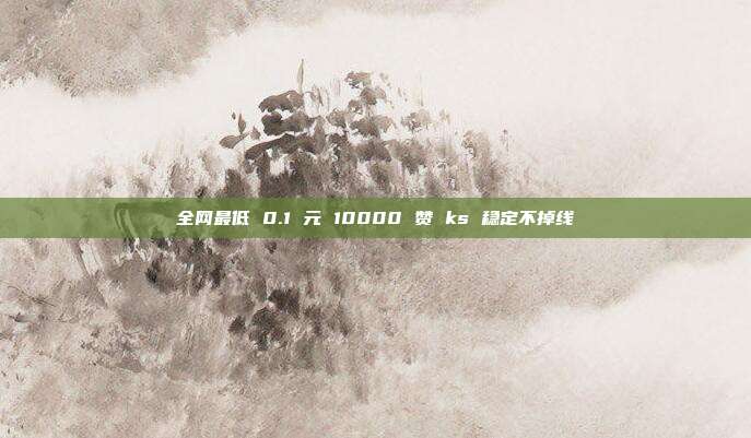 全网最低 0.1 元 10000 赞 ks 稳定不掉线