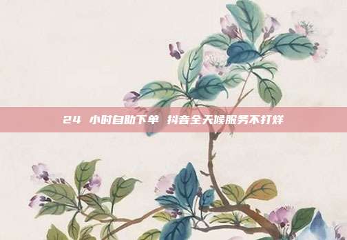 24 小时自助下单 抖音全天候服务不打烊