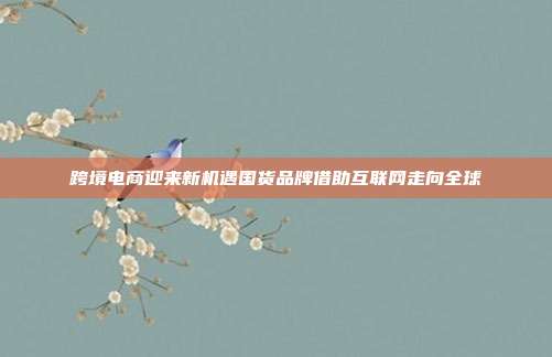跨境电商迎来新机遇国货品牌借助互联网走向全球