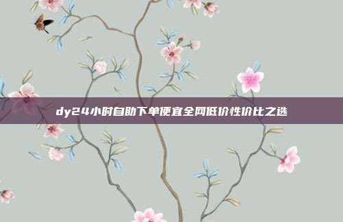 dy24小时自助下单便宜全网低价性价比之选