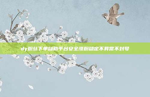 dy粉丝下单自助平台安全涨粉稳定不异常不封号