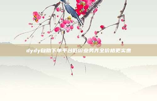 dydy自助下单平台低价业务齐全价格更实惠