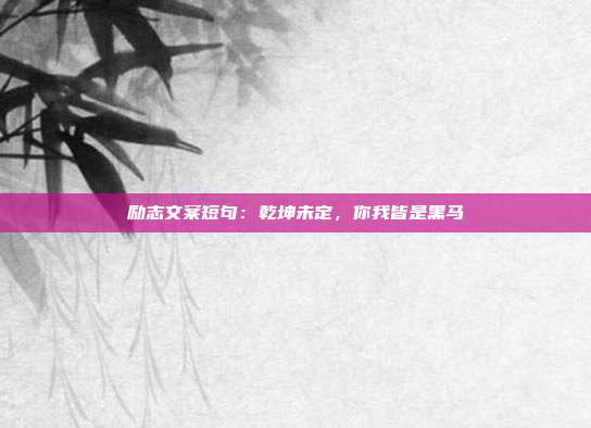 励志文案短句:乾坤未定,你我皆是黑马