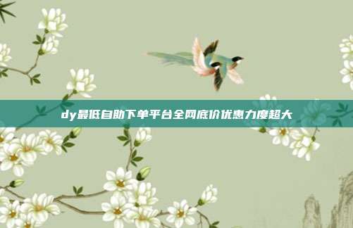 dy最低自助下单平台全网底价优惠力度超大