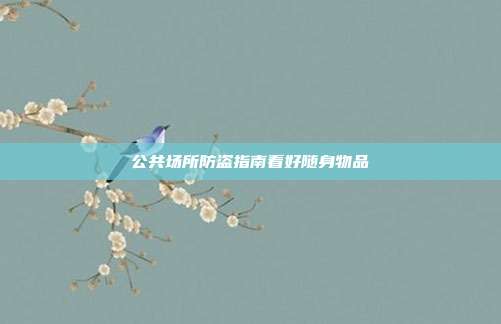 公共场所防盗指南看好随身物品