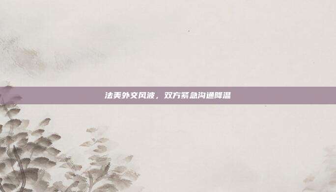 法美外交风波,双方紧急沟通降温