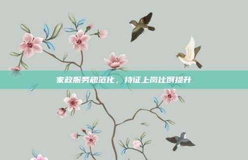 家政服务规范化,持证上岗比例提升