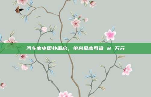 汽车家电国补重启,单台最高可省 2 万元