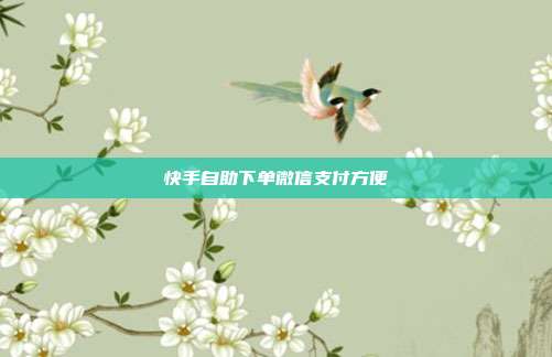快手自助下单微信支付方便