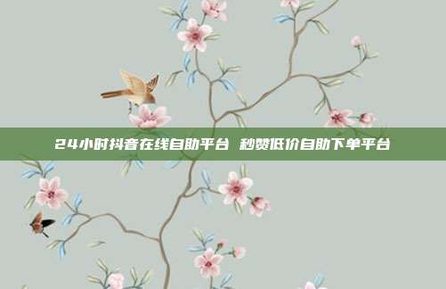 24小时抖音在线自助平台 秒赞低价自助下单平台