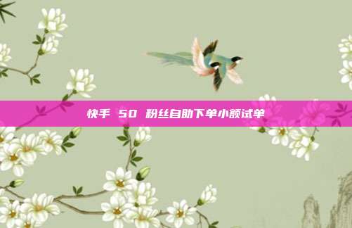 快手 50 粉丝自助下单小额试单