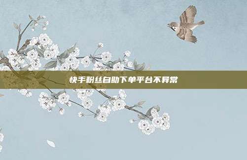 快手粉丝自助下单平台不异常