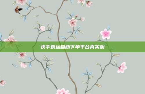 快手粉丝自助下单平台真实粉