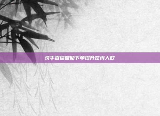 快手直播自助下单提升在线人数
