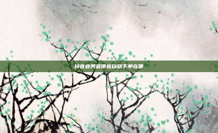 抖音业务最便宜自助下单在哪