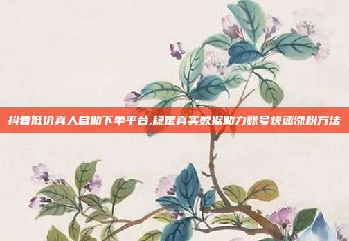 抖音低价真人自助下单平台,稳定真实数据助力账号快速涨粉方法