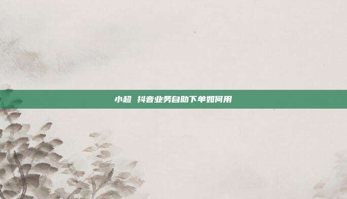 小超 抖音业务自助下单如何用