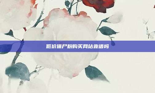低价僵尸粉购买网站靠谱吗