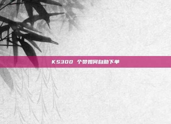 KS300 个赞如何自助下单