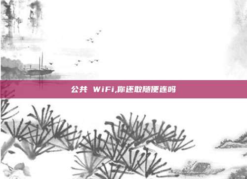 公共 WiFi,你还敢随便连吗