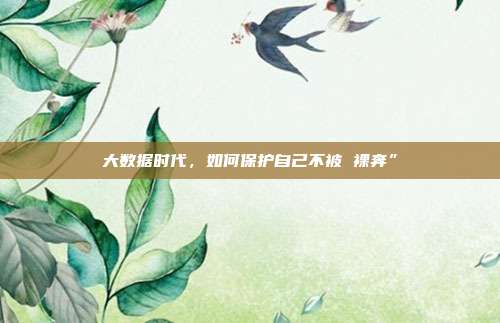 大数据时代,如何保护自己不被 裸奔”