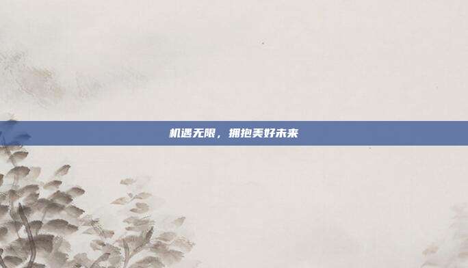 机遇无限，拥抱美好未来