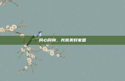 同心同向，共筑美好家园