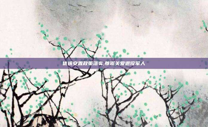 优抚安置政策落实,尊崇关爱退役军人