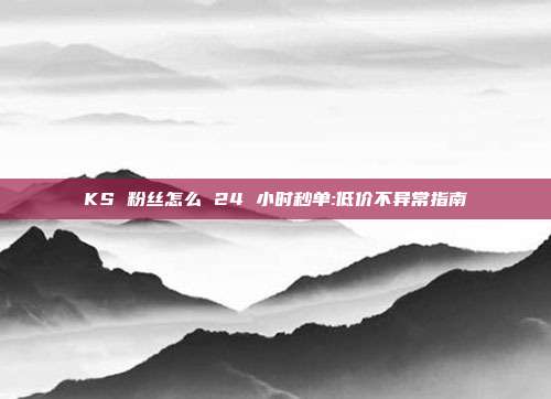 KS 粉丝怎么 24 小时秒单:低价不异常指南