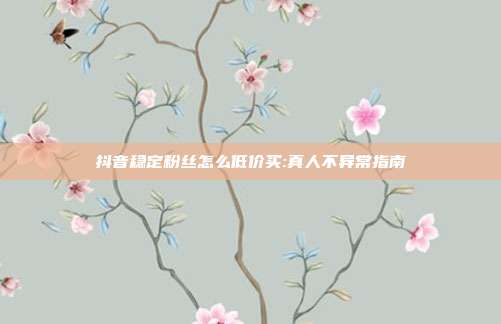抖音稳定粉丝怎么低价买:真人不异常指南