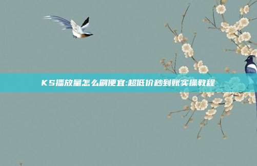 KS播放量怎么刷便宜:超低价秒到账实操教程