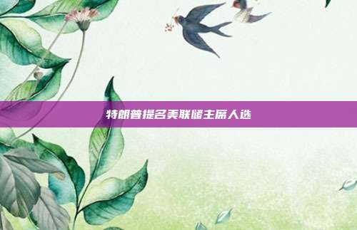 特朗普提名美联储主席人选