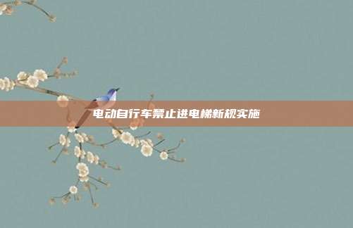 电动自行车禁止进电梯新规实施
