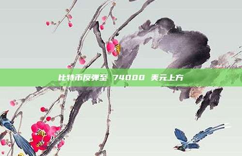 比特币反弹至 74000 美元上方