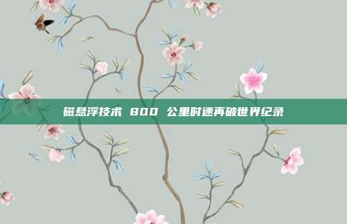 磁悬浮技术 800 公里时速再破世界纪录