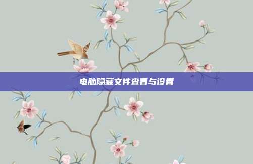 电脑隐藏文件查看与设置