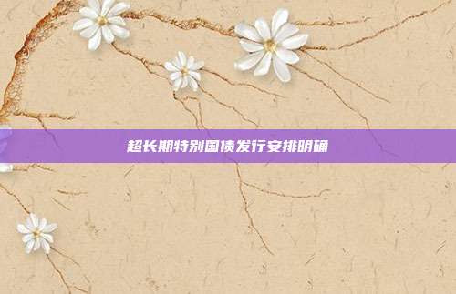 超长期特别国债发行安排明确
