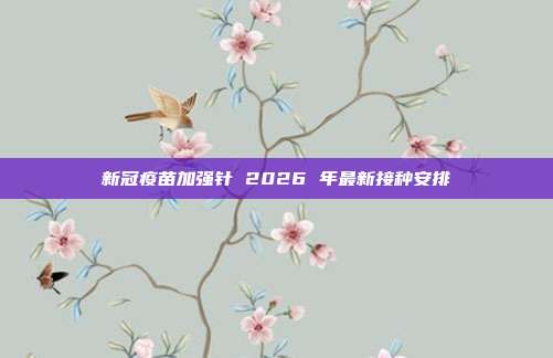 新冠疫苗加强针 2026 年最新接种安排