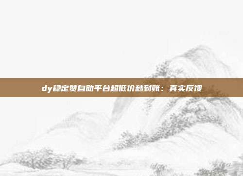 dy稳定赞自助平台超低价秒到账：真实反馈
