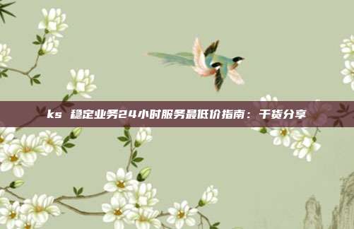 ks 稳定业务24小时服务最低价指南:干货分享