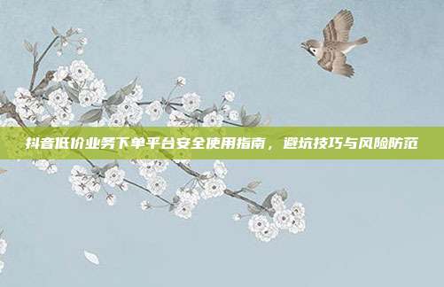 抖音低价业务下单平台安全使用指南,避坑技巧与风险防范