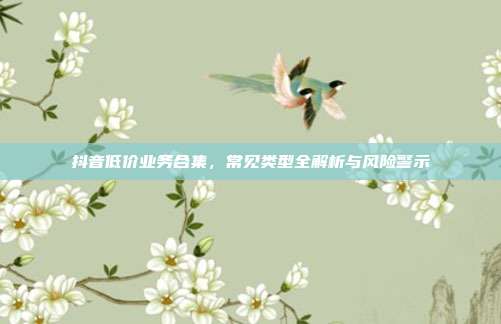 抖音低价业务合集,常见类型全解析与风险警示