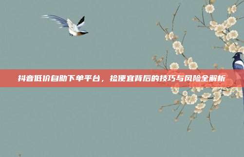 抖音低价自助下单平台,捡便宜背后的技巧与风险全解析
