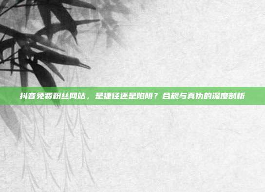 抖音免费粉丝网站,是捷径还是陷阱?合规与真伪的深度剖析